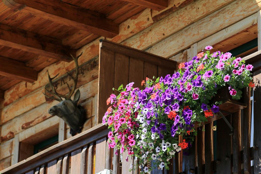 Ferienwohnung Gloesalm Ramsau am Dachstein Exterior foto