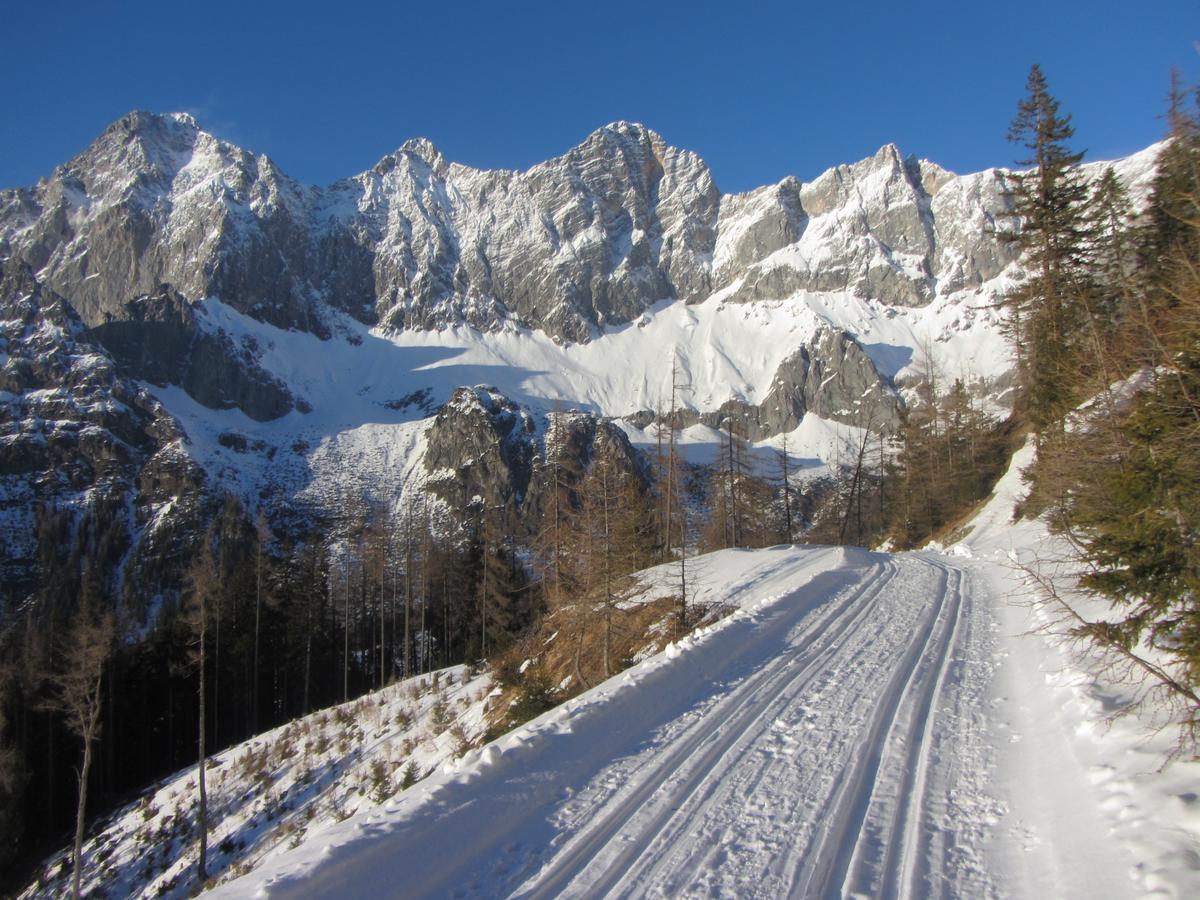 Ferienwohnung Gloesalm Ramsau am Dachstein Exterior foto